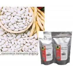 Фасоль Иголомская зерновая 500г. "PNOS" (семена)