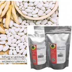 Фасоль Аура зерновая 500г. "PNOS" (семена)