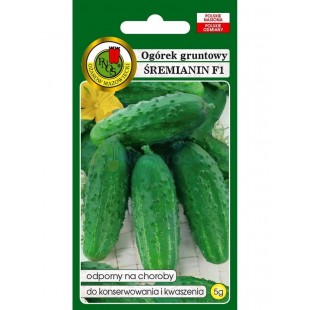 Огурец Сремьянин  F1 5г. (семена) "PNOS"