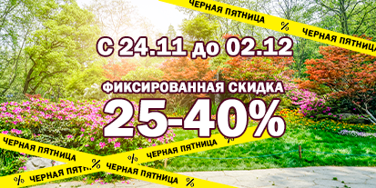 Черная пятница