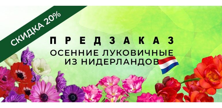 Предзаказ